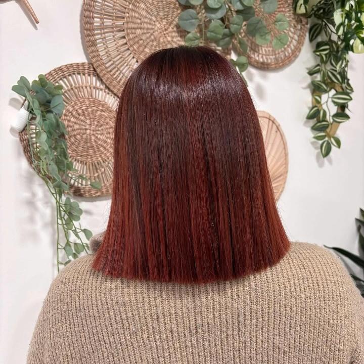 l'atelier des couleurs